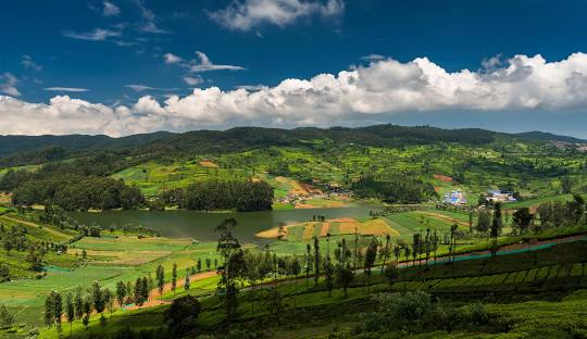 Ooty & Coonoor – hill stations and tea gardens